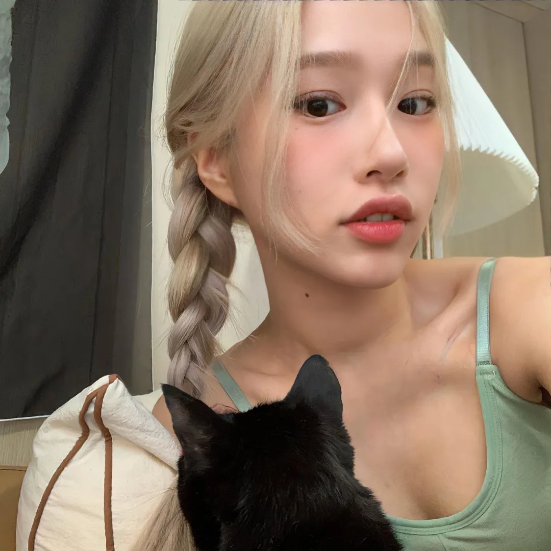 猫老大
